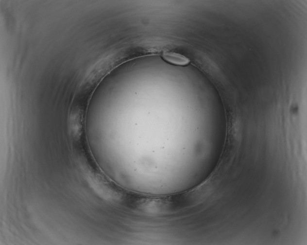 X0000116840074200912181507