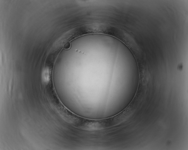 X0000116840075200912181507
