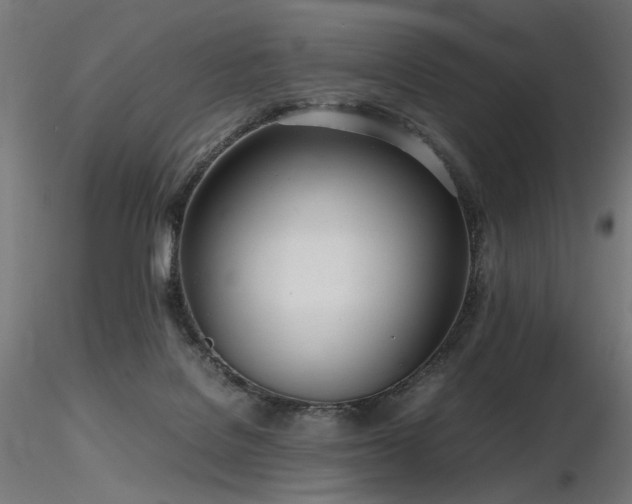 X0000116840076200912181507