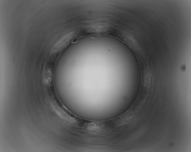X0000116840077200912181507