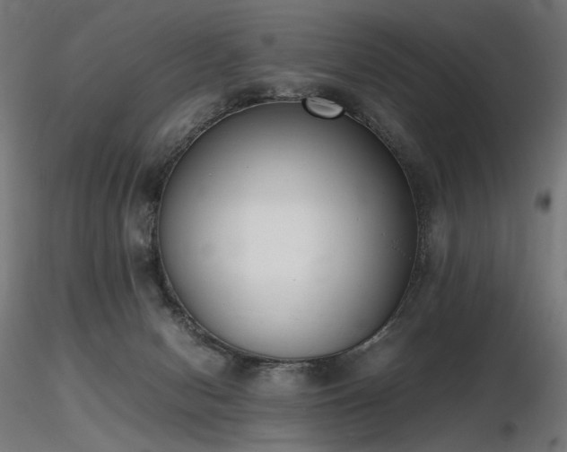 X0000116840078200912181507