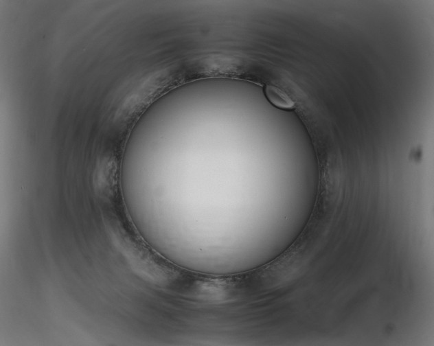 X0000116840079200912181507
