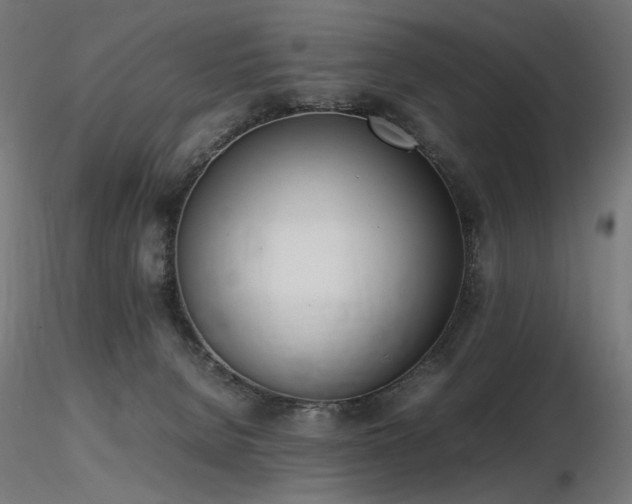 X0000116840080200912181507