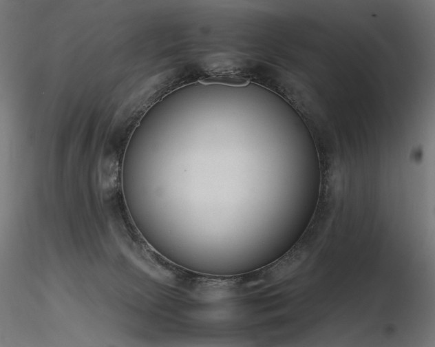 X0000116840081200912181507