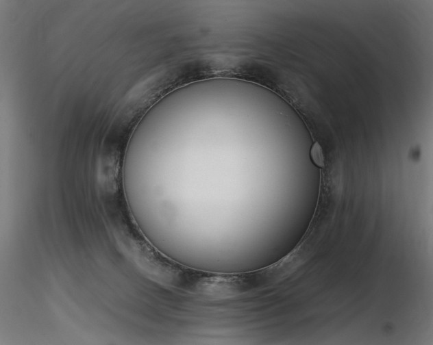 X0000116840082200912181507