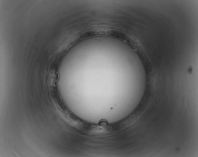 X0000116840083200912181507