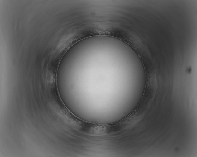 X0000116840084200912181507