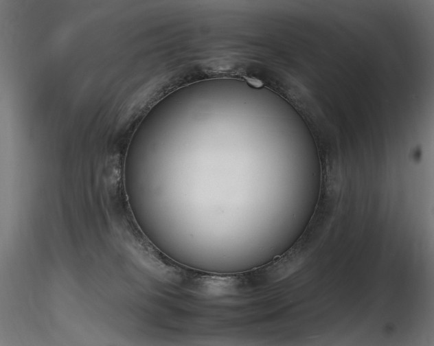 X0000116840085200912181508
