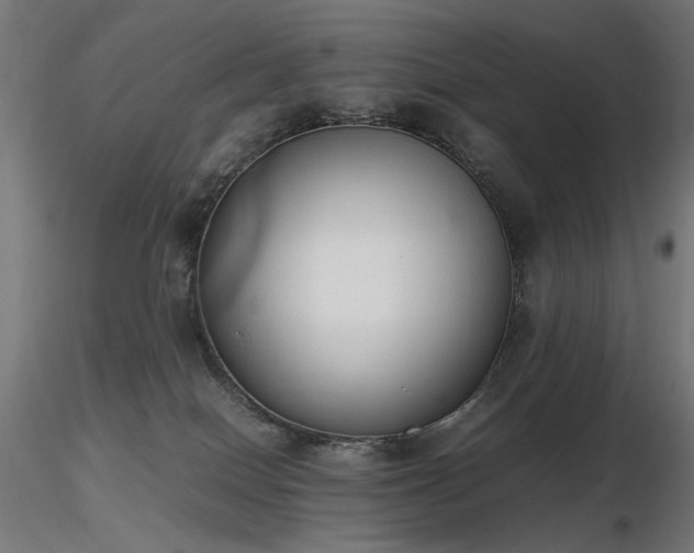 X0000116840086200912181508