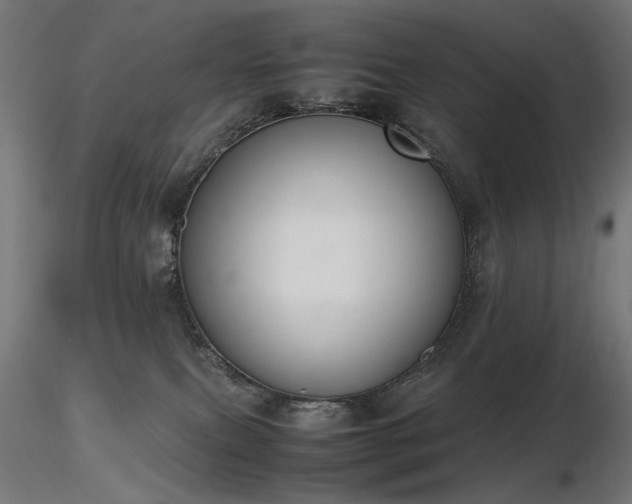 X0000116840087200912181508