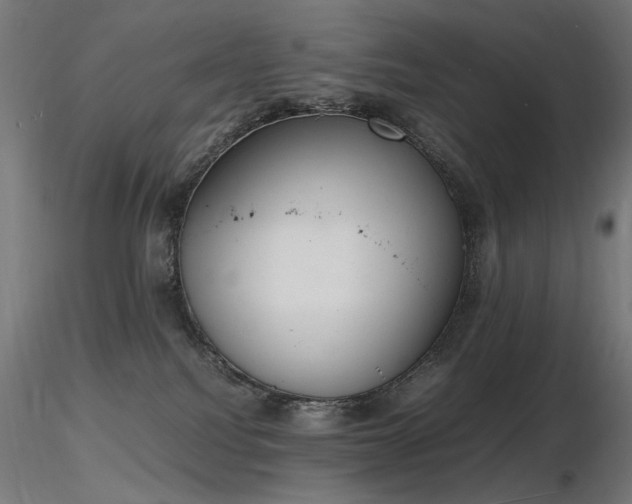 X0000116840088200912181508