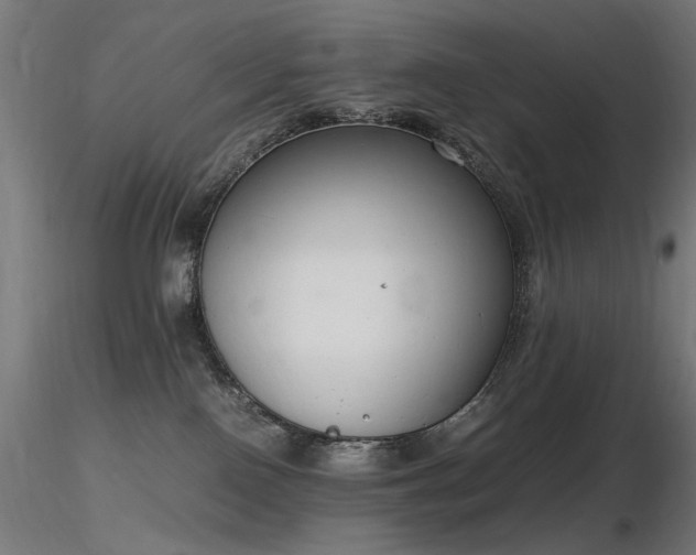 X0000116840090200912181508