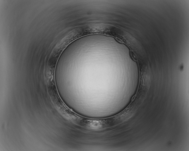 X0000116840091200912181508