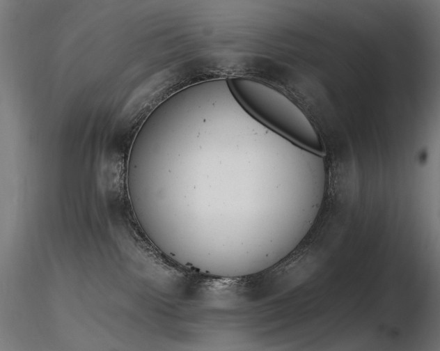 X0000116840092200912181508