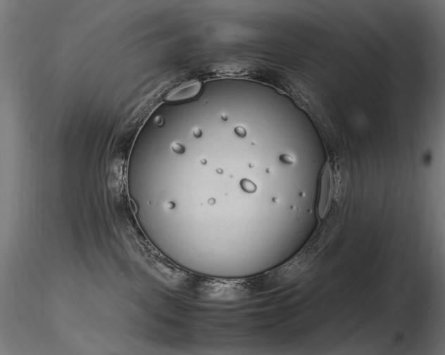 X0000116840093200912181508