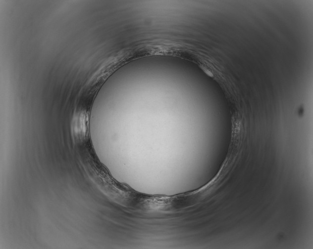 X0000116840094200912181508