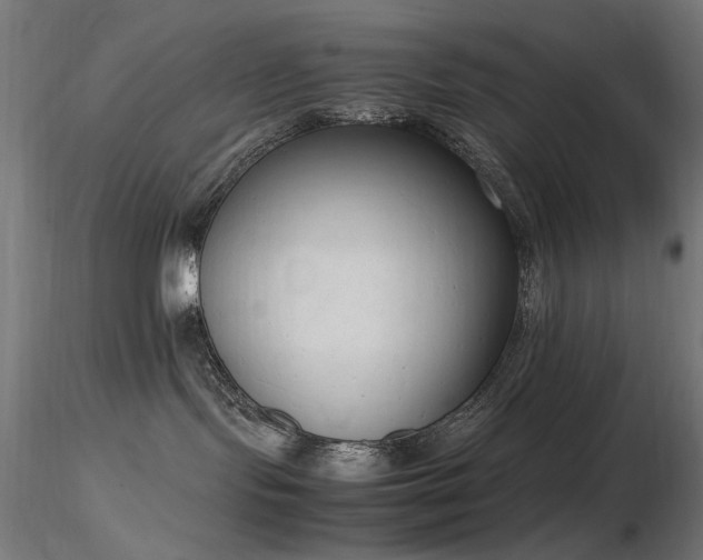 X0000116840095200912181508