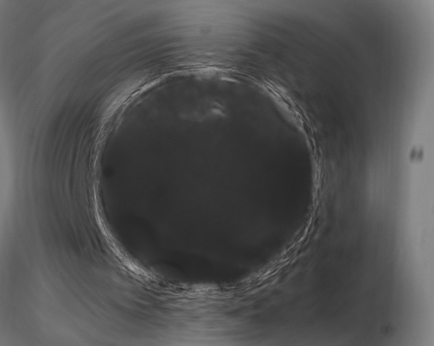 X0000116840097200912181507