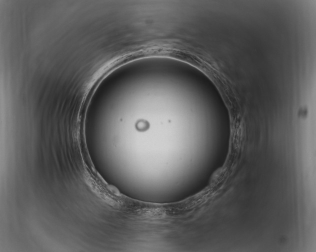 X0000116840100200912181507