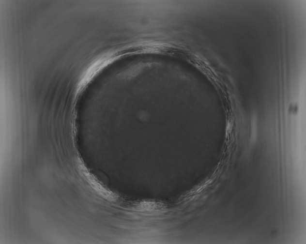 X0000116840101200912181507