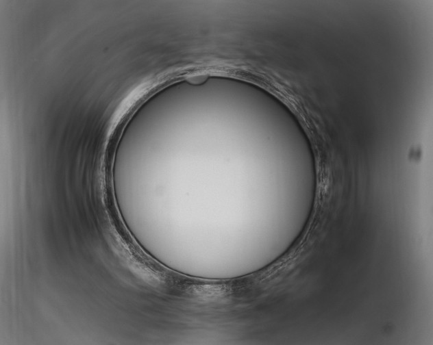 X0000116840102200912181507
