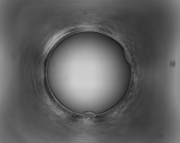 X0000116840103200912181507