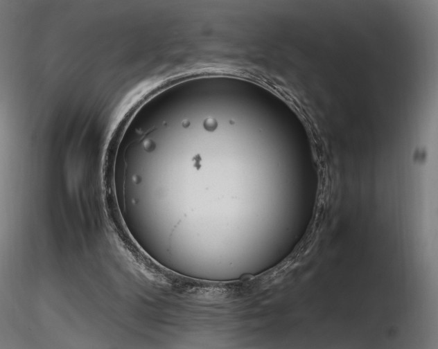 X0000116840104200912181507