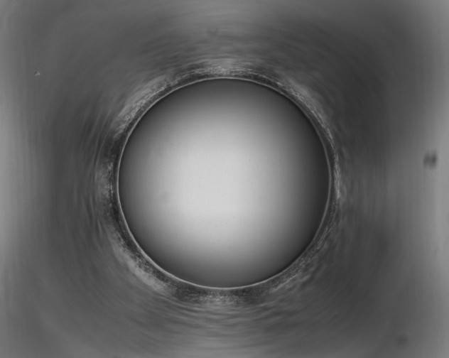 X0000116840105200912181507