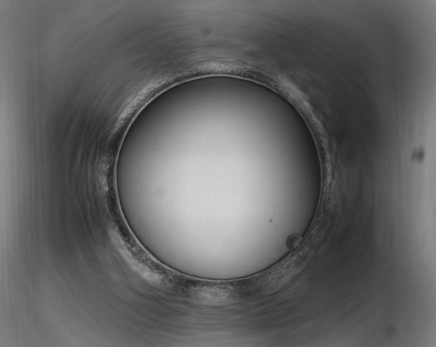 X0000116840106200912181507