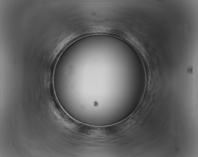 X0000116840107200912181507
