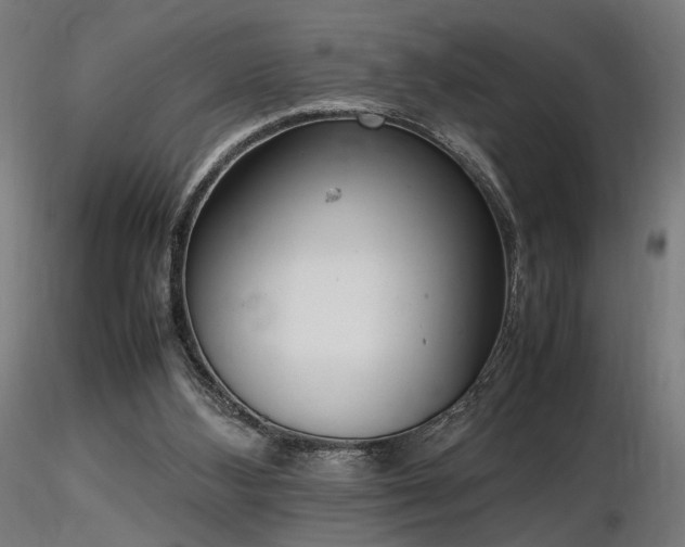 X0000116840108200912181507