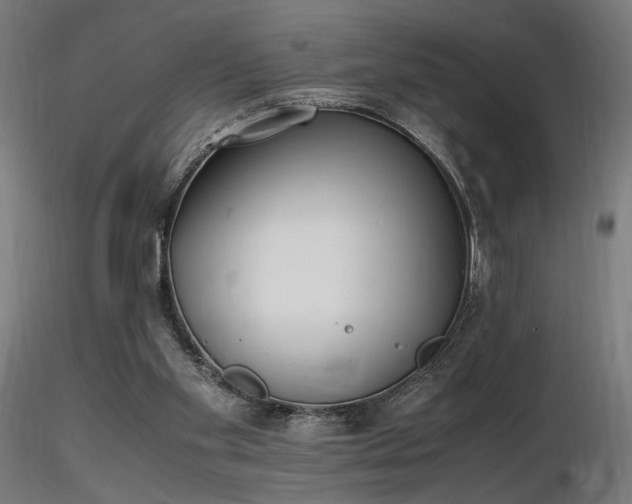 X0000116840109200912181507