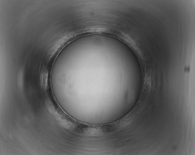 X0000116840110200912181507