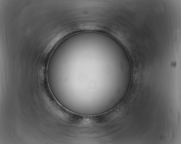 X0000116840111200912181507