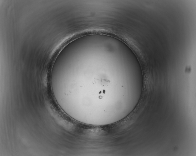 X0000116840112200912181507