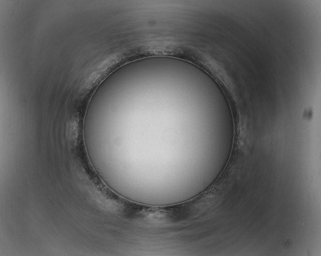X0000116840113200912181507