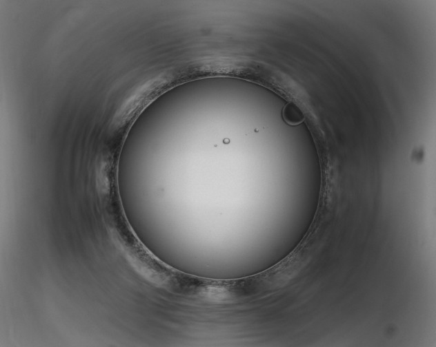 X0000116840114200912181507