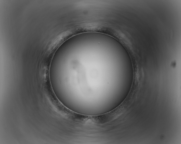 X0000116840115200912181507