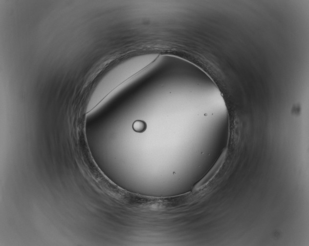 X0000116840116200912181507