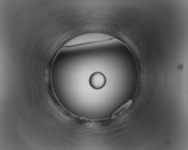 X0000116840117200912181507