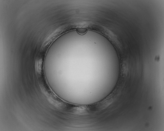 X0000116840118200912181507