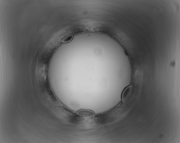 X0000116840121200912181507