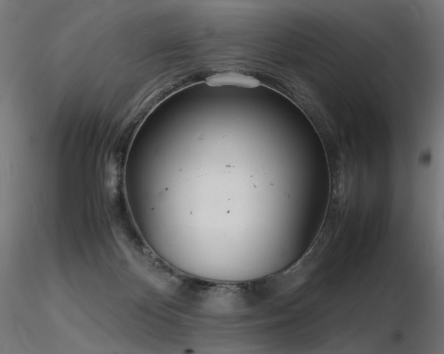 X0000116840124200912181507