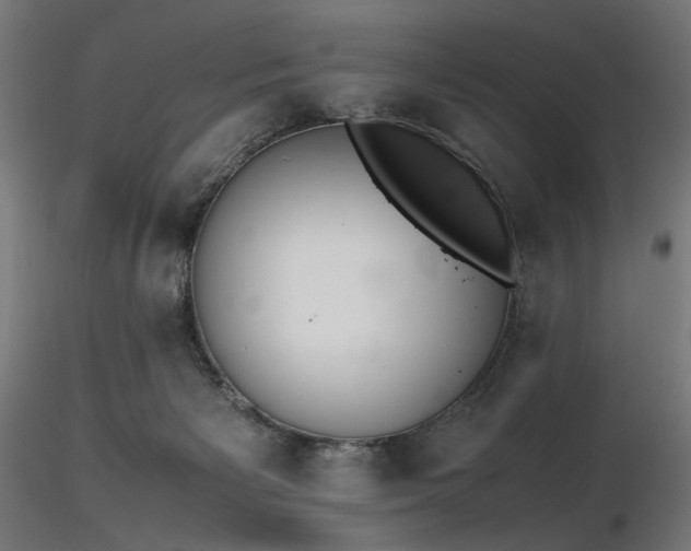 X0000116840125200912181507
