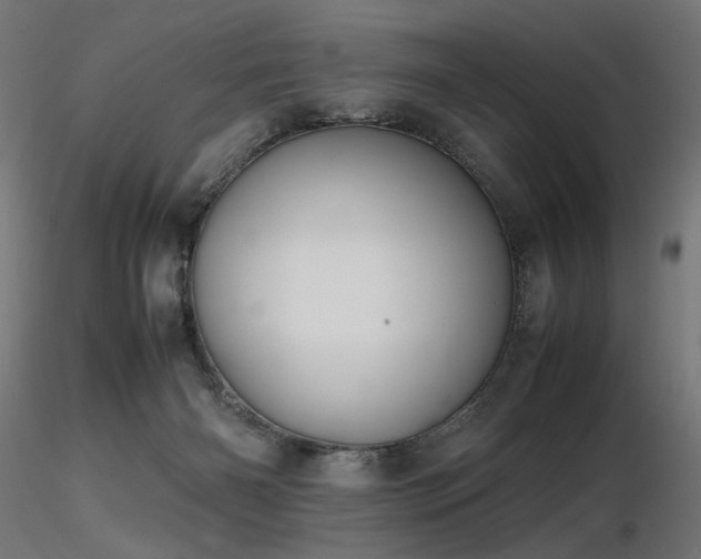 X0000116840126200912181507