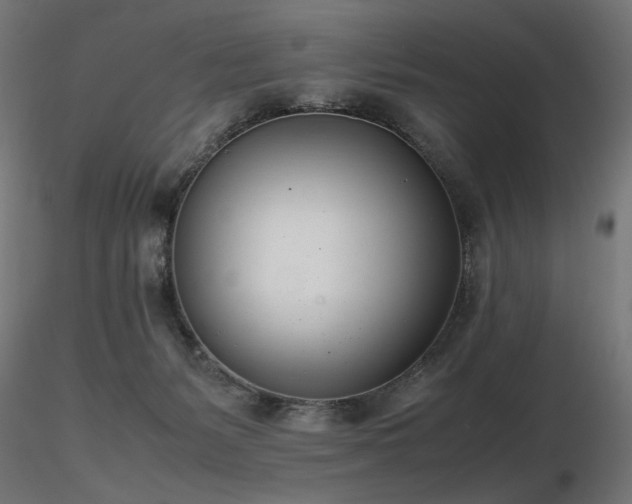 X0000116840127200912181507