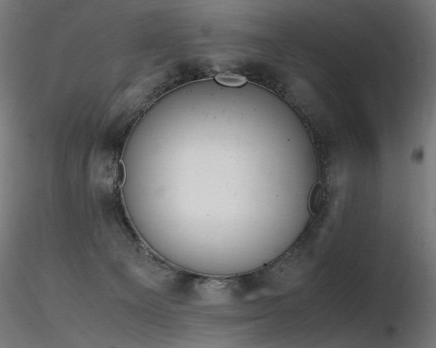 X0000116840129200912181507