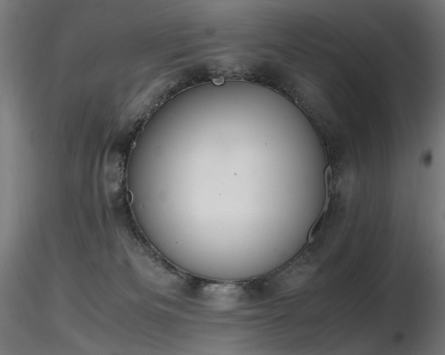 X0000116840133200912181506