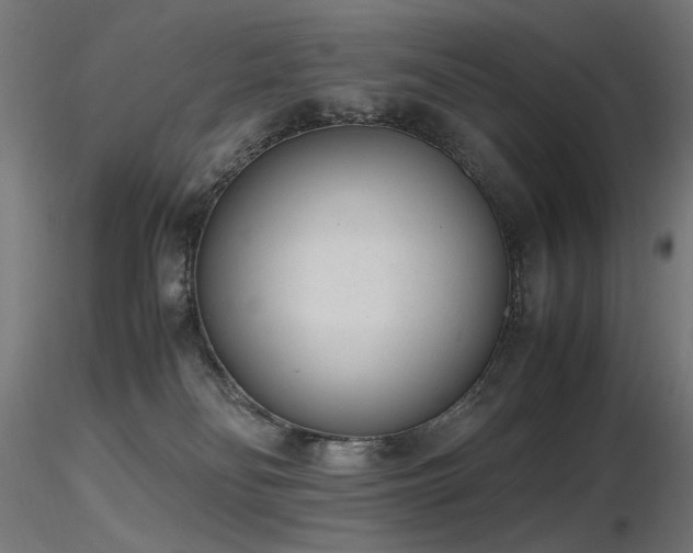 X0000116840134200912181506