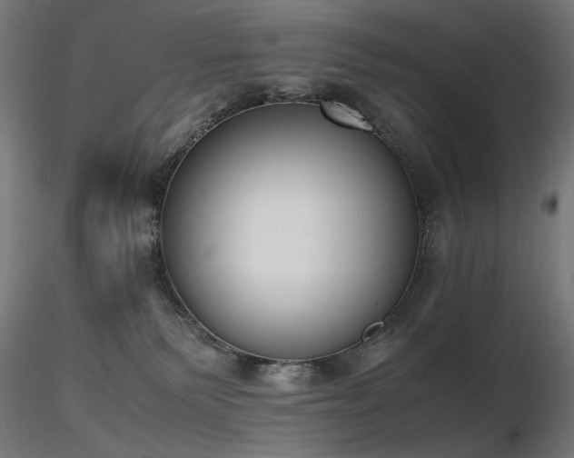 X0000116840135200912181506